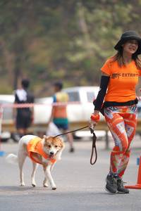 BIB: 
                            <button type="button" onclick="openModal(8708985)" class="btn btn-primary btn-sm float-right btn-popup" data-toggle="modal" data-target=".modal-high-quality">
                        <i class="fas fa-shopping-cart"></i> Add to Cart
                    </button>
                                            <button type="button" onclick="isThisMe(8708985, true)" class="btn btn-success btn-sm float-right btn-popup btn-isme hidden" data-toggle="tooltip" data-placement="bottom" title="นี่คือรูปของคุณใช่ไหม คลิกที่นี่เพื่อเอาเข้าอัลบั้ม">
                        <i class="fas fa-plus"></i> Add to album
                    </button>
                    <button type="button" onclick="isThisMe(8708985, false)" class="btn btn-warning btn-sm float-right btn-popup btn-isnotme hidden">
                        <i class="fas fa-ban"></i> Remove from album
                    </button>